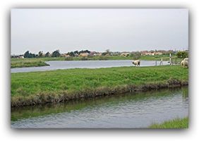 marais jard sur mer marche